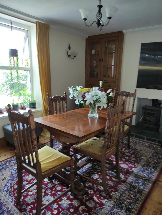 Adail Cottage Aberystwyth Exteriör bild