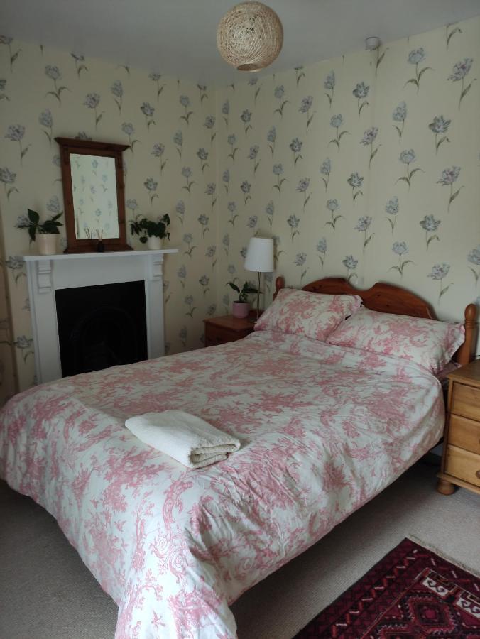 Adail Cottage Aberystwyth Exteriör bild